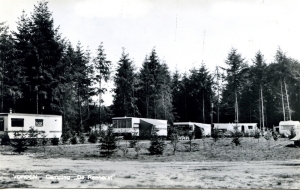 A27 Camping De Reehorst 2